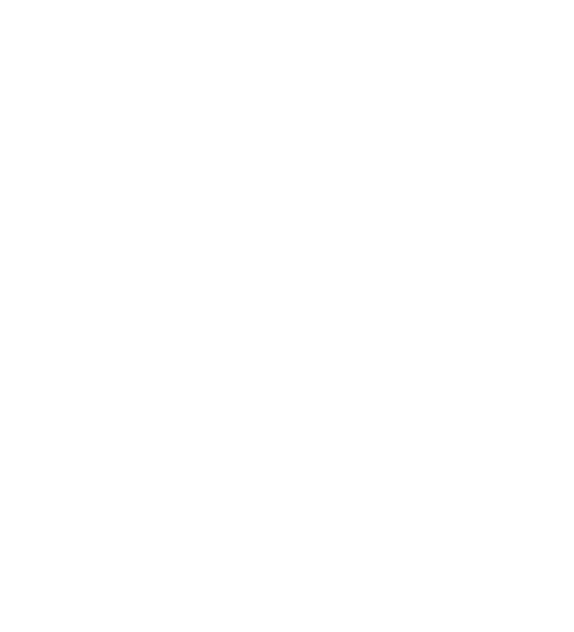Sarah Wallner Logo
